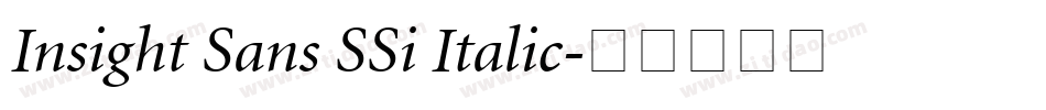 Insight Sans SSi Italic字体转换